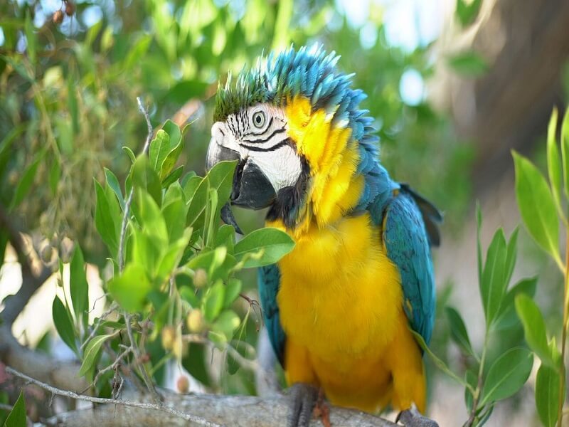 Hotel Isla Palma - Image 4