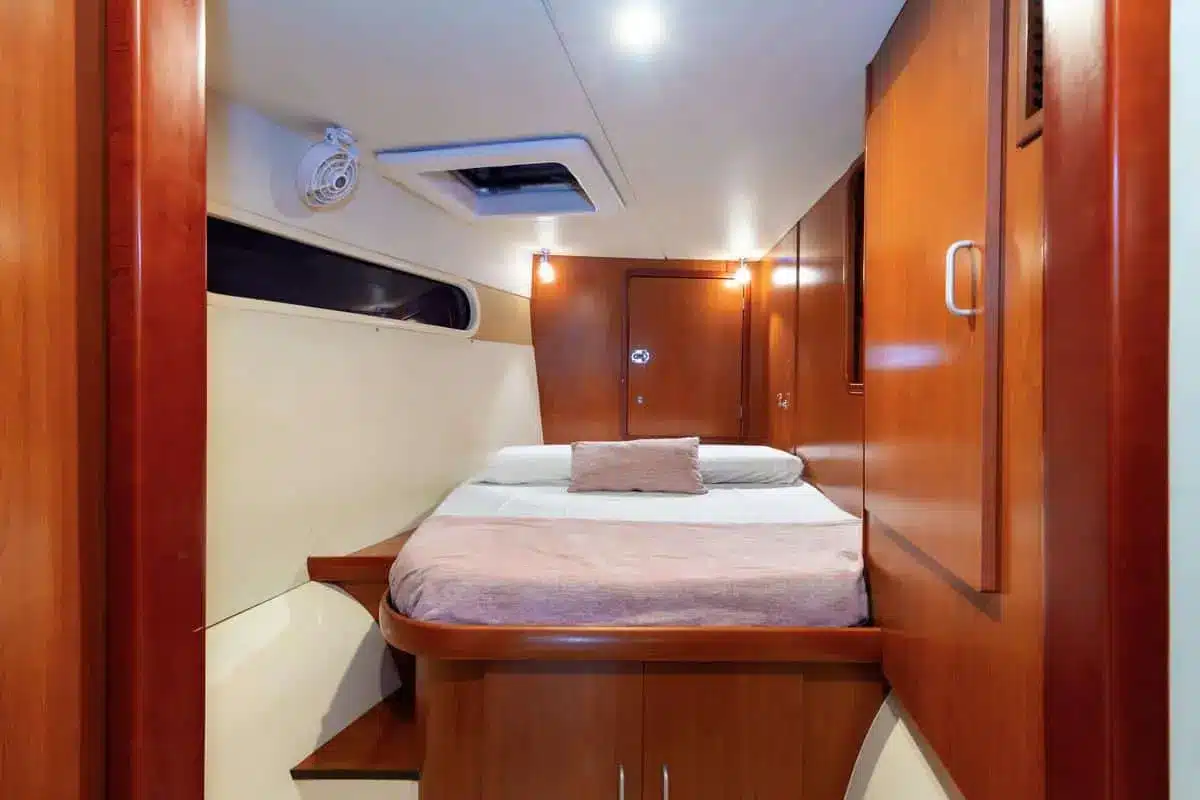 Catamarán Hope Leopard - Image 6