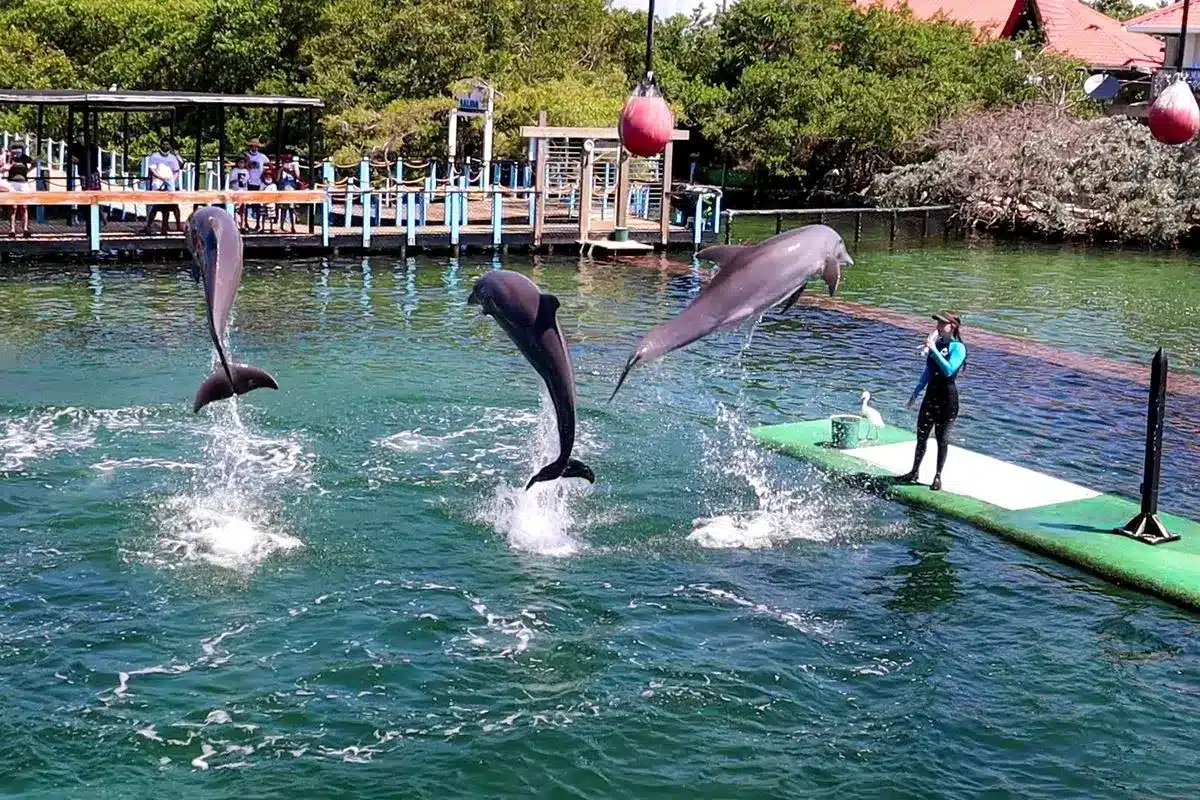 Tour 4 Destinos + Oceanario - Image 3