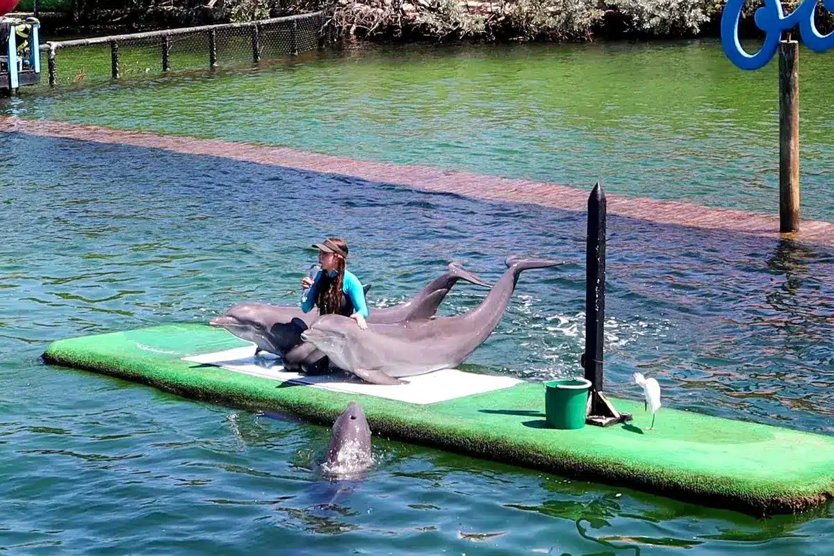 Tour 4 Destinos + Oceanario - Image 2