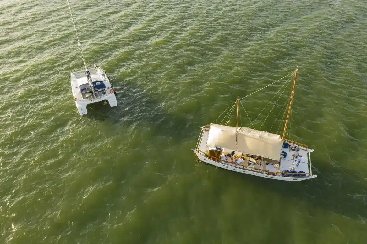 Catamarán Moana - Image 2